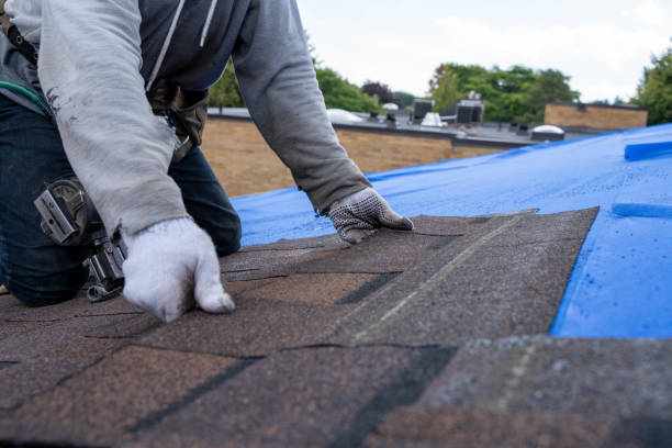 Best Roof Leak Repair  in Kalkaska, MI