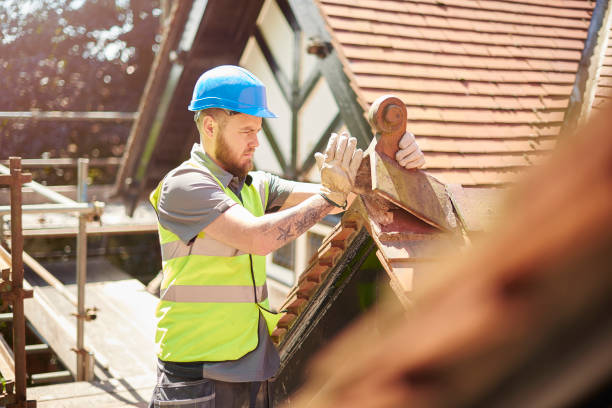 Best Roof Gutter Cleaning  in Kalkaska, MI